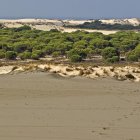 Doñana es Patrimonio de la Humanidad por la Unesco.