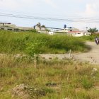 Maleza. En toda la ciudadela, este es el panorama que prevalece. Hay monte crecido en cada esquina y solar.