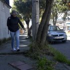 Crecimiento. Las raíces rompen las veredas y eso dificulta el paso de los peatones
