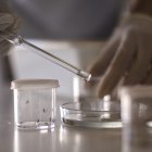 Fotografía de archivo en la que se observa el mosquito Aedes Aegypty en el Centro de Investigaciones de Plagas e Insecticidas de Argentina (Cipein).