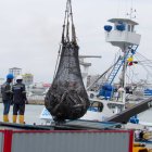 Trabajo.- La labor de pesca en la ciudad de Manta, en Ecuador.