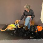 En Quito se encuentra la primera escuela dedicada a entrenar perros guías del país. Es una fundación sin fines de lucro.