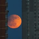 Una vista del eclipse lunar entre edificios residenciales en Kiev, Ucrania, el 5 de mayo de 2023. Personas en gran parte de Europa, África, Asia y Australia pueden ver un eclipse lunar penumbral profundo durante la noche del 5 al 6 de mayo de 2023.
