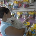 VENTA DE INSUMOS PARA MASCOTAS_ARCHIVO
