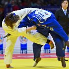 Japón y Francia se disputaron ayer el último título del Mundial en Doha.