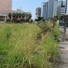 Problema. El monta ya topa con las estructura de un paradero.