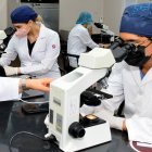 Las universidades públicas y privadas crearon centros de diagnóstico y de secuenciación del virus.