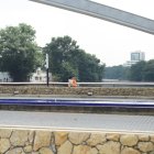 OLORES EN EL ESTERO_GERARDO MENOSCAL