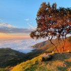 Las alternativas para visitar en Ecuador durante el próximo feriado son infinitas.