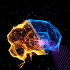 Imagen cedida por cortesía del laboratorio de Chen, Universidad de Washington en San Luis.