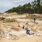 En Florida se encontró el cementerio de huesos de esta especie extinta