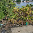 El sector agrícola no está preparado para un fenómeno de El Niño de gran magnitud.