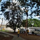 Solución. Las reparaciones de las luminarias devolvieron la luz al barrio.