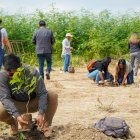 En un área de cinco hectáreas de la UPSE se plantaron las especies.