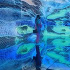 La imagen recoge uno de los momentos en el Museo del Futuro del año pasado en Ciudad de México.