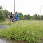 Los ediles aseguran que un pedido similar se debe hacer con la isla Santay y el parque Forestal, que también están en situaciones deplorables, como lo ha venido publicando EXPRESO.