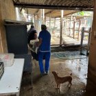 Hecho. La acción se dio la tarde del jueves 1 de junio.