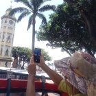 RECORRIDO TORRE MORISCA... FD MIGUEL CANALES... 2-06-2023