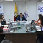 La propuesta de conformar una veeduría fue planteada por el consejero Augusto Verduga.