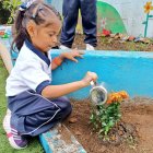 Los estudiantes sembraron plantas en sus colegios y se comprometieron a cuidarlas.