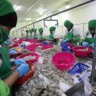 El sector camaronero ha señalado que el retiro de los subsidios ha afectado su competitividad.