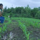 El nuevo precio regirá luego de elaborarse un acuerdo ministerial, previsto para la próxima semana.