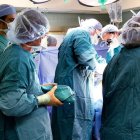 Médicos del Miami Transplant Institute mientras realizan una cirugía.