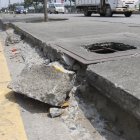 Los parterres de la avenida Narcisa de Jesús se deterioran.