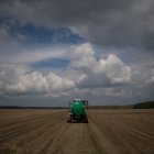 Vista de un campo de cultivo en una carretera en las inmediaciones de Kiev.