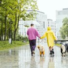 Afectación. Los animales de compañía se adaptan, o no, de manera más fácil a ciertos tipos de clima, esto según su raza.