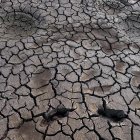 Fotografía de archivo de tierra seca en la represa Los Laureles, que abastece de agua a Tegucigalpa (Honduras). EFE/Gustavo Amador