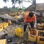 Personas se aprovecharon y aseguraron su Día del Padre