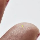 El modelo OnTheGo en su versión miniatura ha generado distintas opiniones en redes sociales.