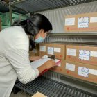 Medicina. En los hospitales del IESS se presentan irregularidades con proveedores que usan documentos adulterados para ganar los contratos.