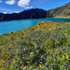 El Páramo Quilotoa, ubicado en la región interandina, uno de los pastizales más reconocidos del terriotorio ecuatoriano.