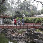 Plantas. A pesar de la fumigación, las plantas dentro y fuera del parque siguen siendo afectadas por la presencia de plagas como la cochinilla y el pulgón.