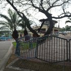 En 2018 el parque fue intervenido por el Municipio de Guayaquil, con un presupuesto de 490.396,56 dólares.