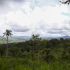 Sector de Nanegalito, parte del Chocó Andino, área metropolitana de Quito.