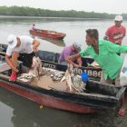 PESCADORES MIENTRAS DESCARGAN LOS MARISCOS DESDE SUS CANOAS.