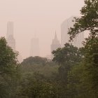 El humo resultante de los incendios forestales canadienses mientras envuelve el famoso Central Park de Nueva York, en una fotografía de archivo. EFE/Jorge Fuentelsaz