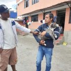 Rescate. La Unidad de Bienestar Animal intervino en este caso para poner a buen recaudo al animalito junto a otros dos