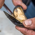 "La bisagra es realmente increíble", afirmó uno de los responsables del proyecto, Mao Libo.