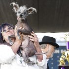 Honores. Scooter en manos de su tutora, tras la designación.