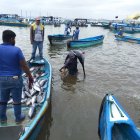 Pesca. Los artesanos procuran abastecerse del producto de mar, antes de que inicie la veda por su reproducción.