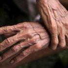 Registrar lo movimientos motrices para determinar el riesgo de una persona a desarrollar párkinson.