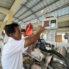 Dorado. En los mercados se encuentra la libra de dorado desde 1,80 dólares.