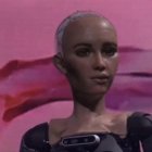 Una serie de robots e inteligencias artificiales de última generación, bajo la forma de humanoides, se reúnen hoy y mañana en una cumbre promovida por Naciones Unidas.
