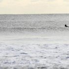 Imagen de archivo de surfistas nadando en la playa de Rockaway, New York.