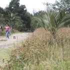 Caminatas. Los meses de verano aumentan en la capital las actividades al aire libre.