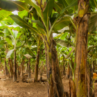 Desde el inicio de 2023 hasta el final de mayo se habían decomisado en Ecuador unas 87 toneladas de drogas.